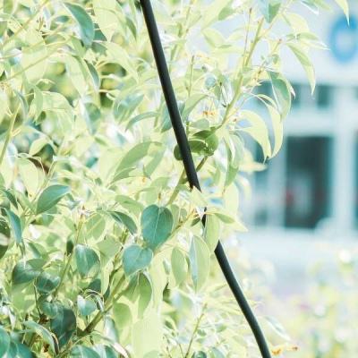 半岛登录入口-登录入口