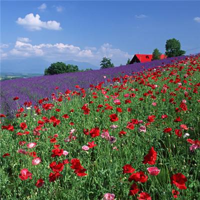 kaiyun体育登录网页入口